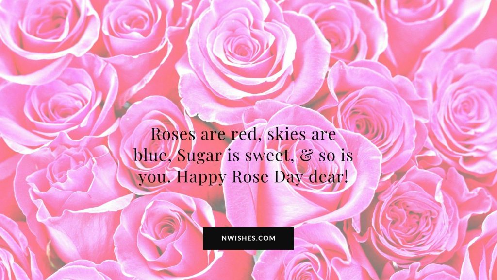Best Rose Day Wishes for Her