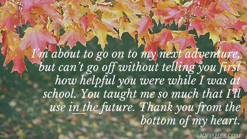 Best Thanksgiving Messages For Teacher