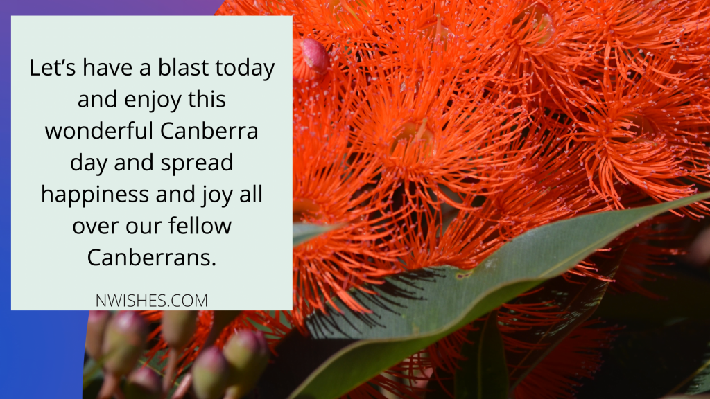 Happy Canberra Day Quotes 2022