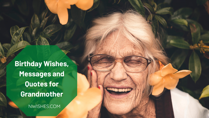 Birthday Wishes Messages and Quotes for Grandmother