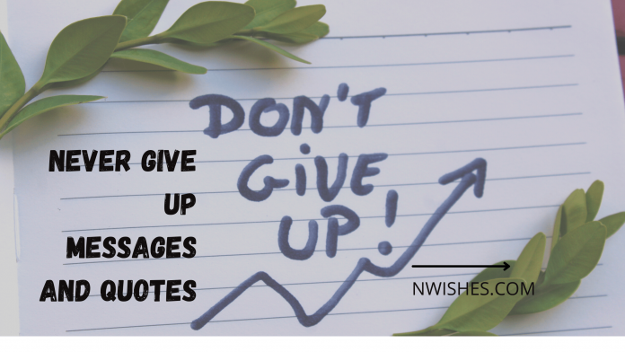 Never Give Up Messages and Quotes
