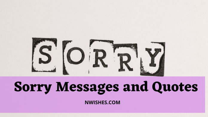 Sorry Messages and Quotes